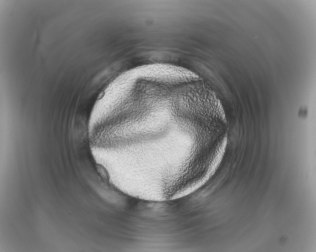 X0000091100478200709041327