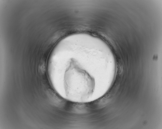 X0000091100479200709041327