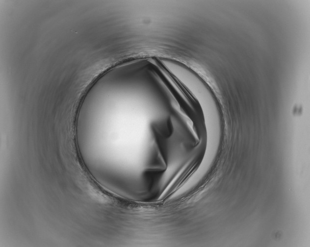 X0000091100481200709041326