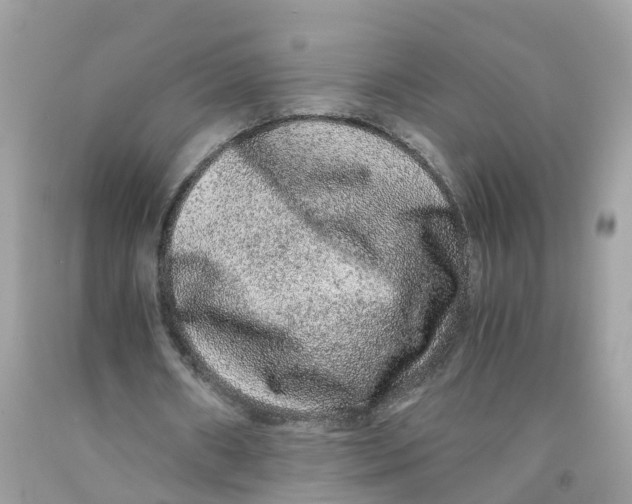 X0000091100482200709041326