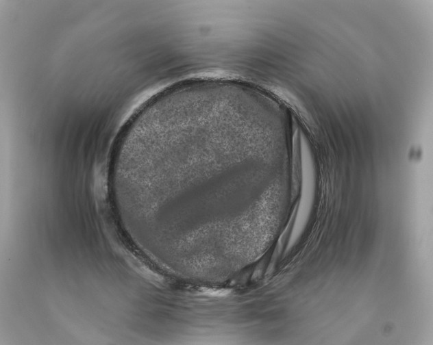 X0000091100484200709041326