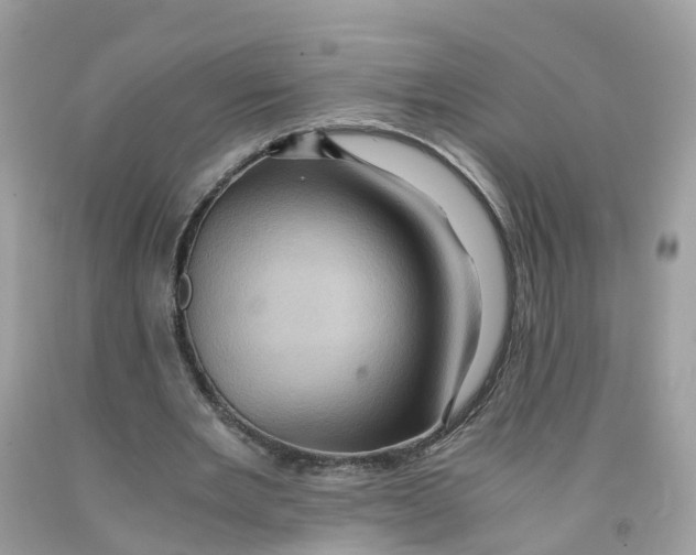 X0000091100485200709041326