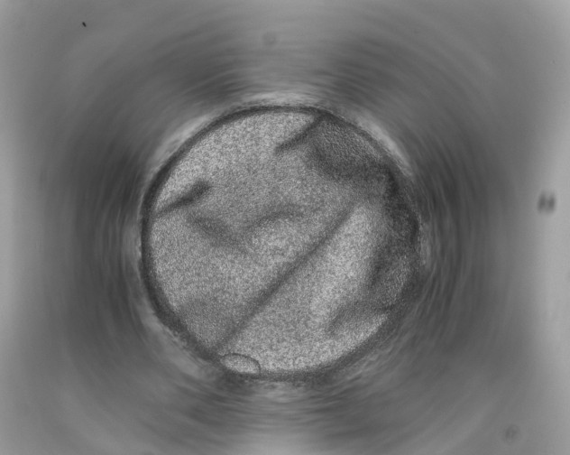 X0000091100486200709041326