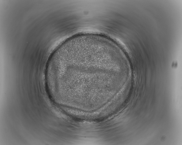 X0000091100487200709041326