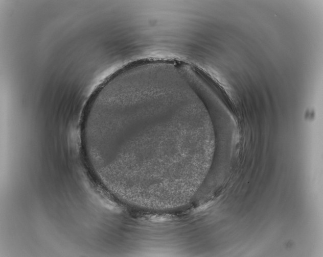 X0000091100488200709041326