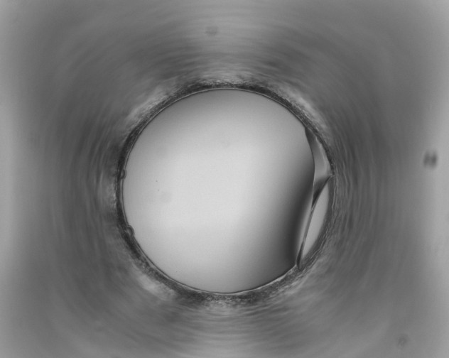 X0000091100489200709041326