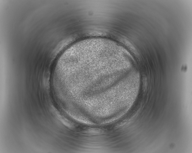 X0000091100490200709041326