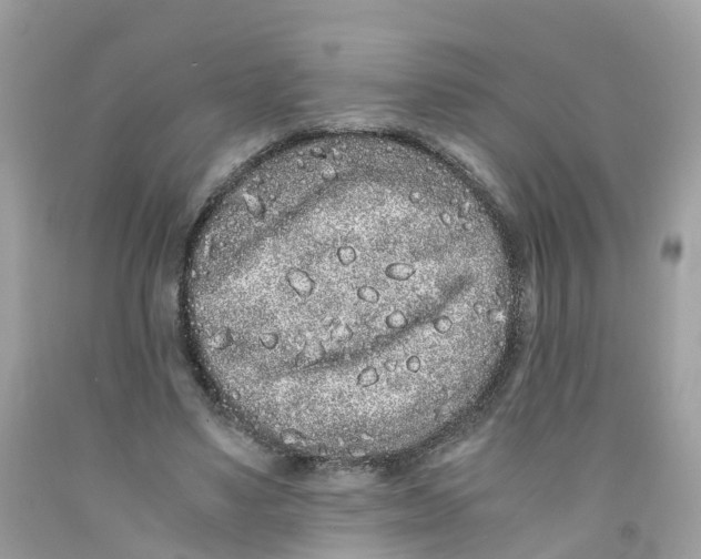 X0000091100491200709041326