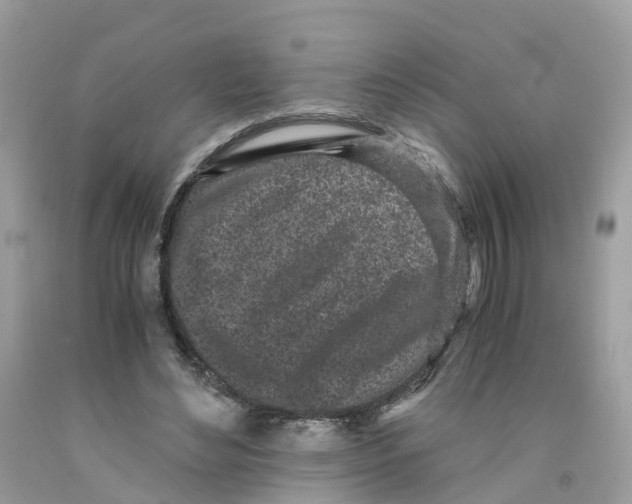 X0000091100492200709041326