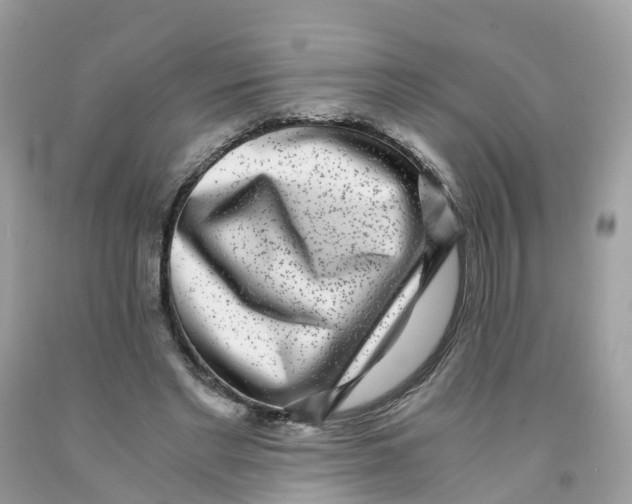 X0000091100493200709041326