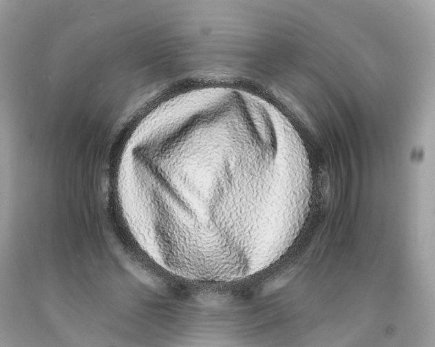 X0000091100494200709041326