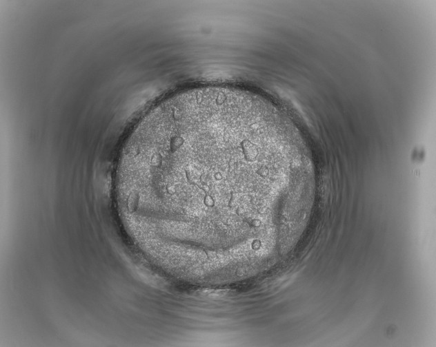 X0000091100495200709041326