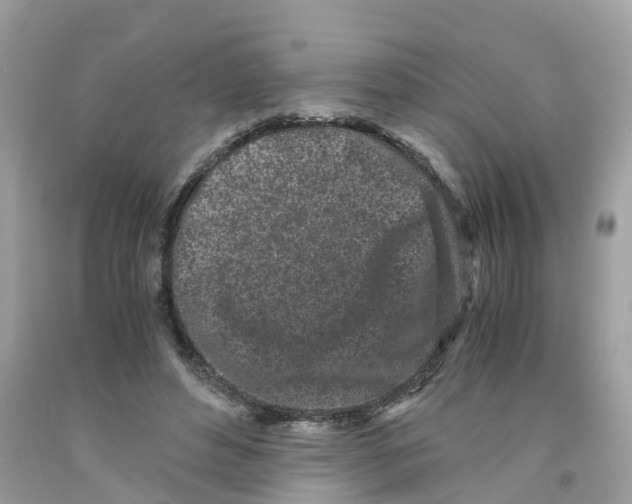 X0000091100496200709041326