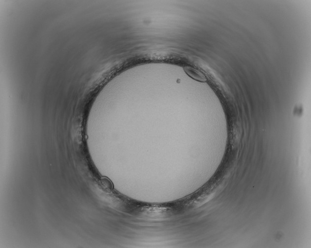 X0000091100497200709041326