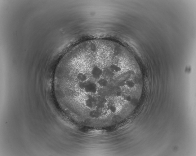 X0000091100499200709041326