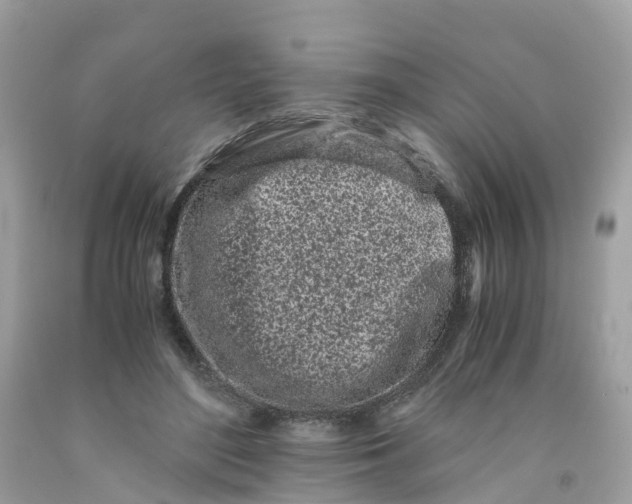 X0000091100500200709041326