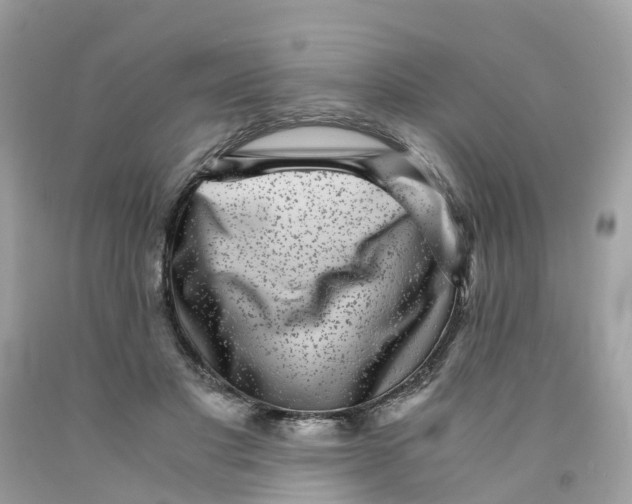 X0000091100501200709041326