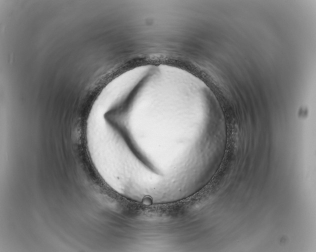 X0000091100502200709041326