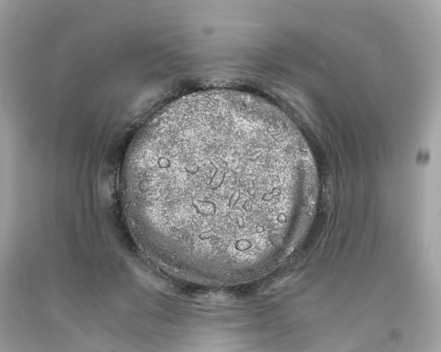 X0000091100503200709041326