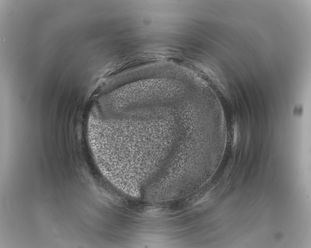 X0000091100504200709041326