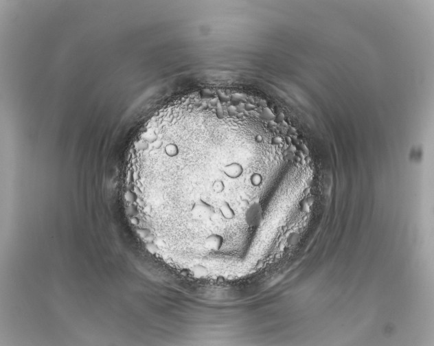 X0000091100507200709041326