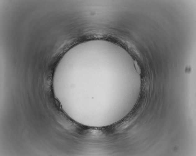 X0000091100509200709041326