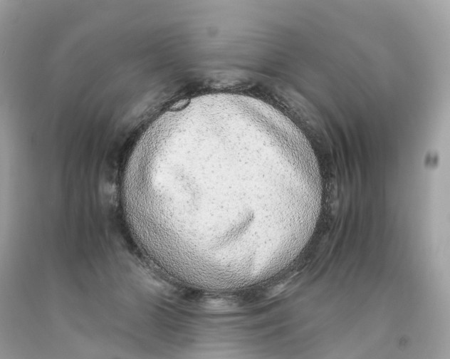 X0000091100510200709041326