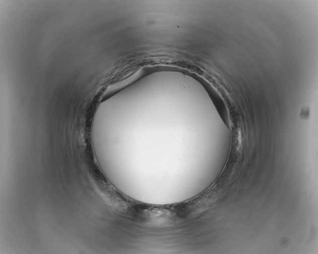 X0000091100512200709041326