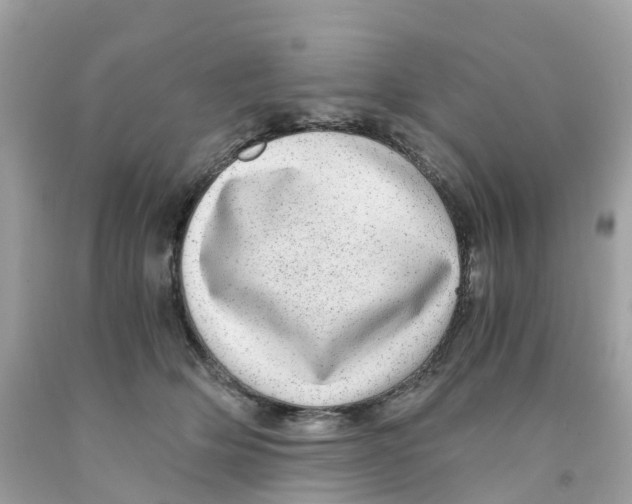 X0000091100514200709041326