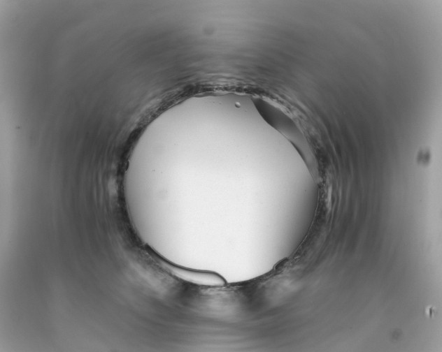 X0000091100516200709041326