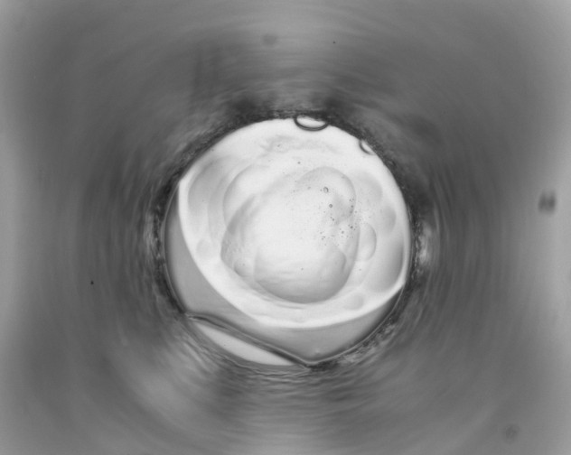 X0000091100519200709041326