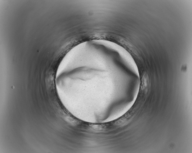 X0000091100522200709041326