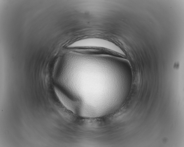 X0000091100524200709041326