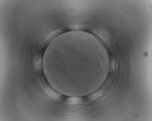 X0000091100526200709041326