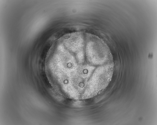 X0000091100527200709041326