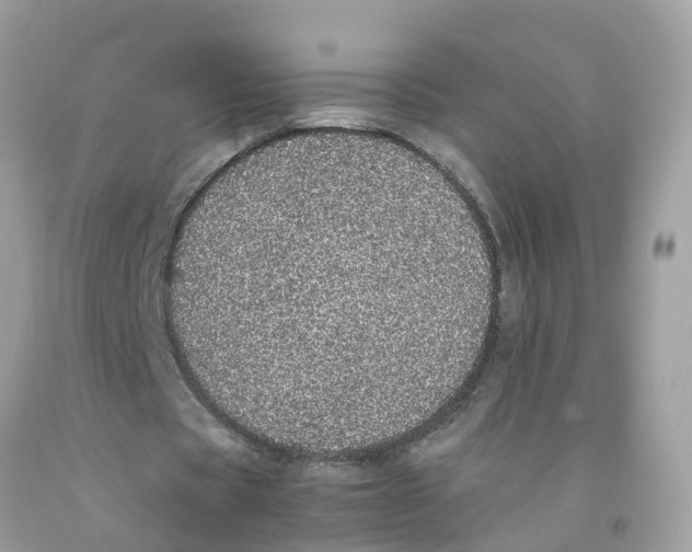 X0000091100529200709041325