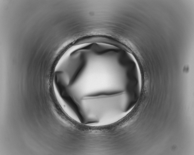 X0000091100530200709041325