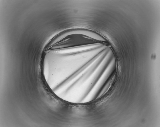 X0000091100532200709041325