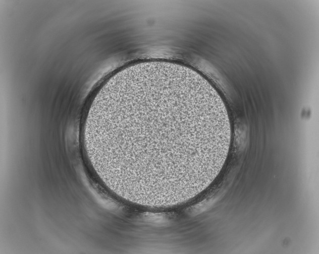 X0000091100534200709041325