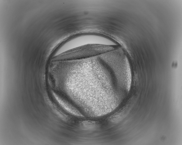 X0000091100535200709041325