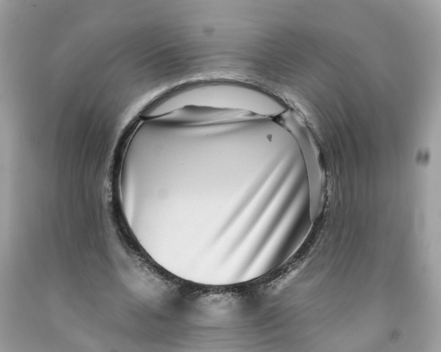 X0000091100536200709041325