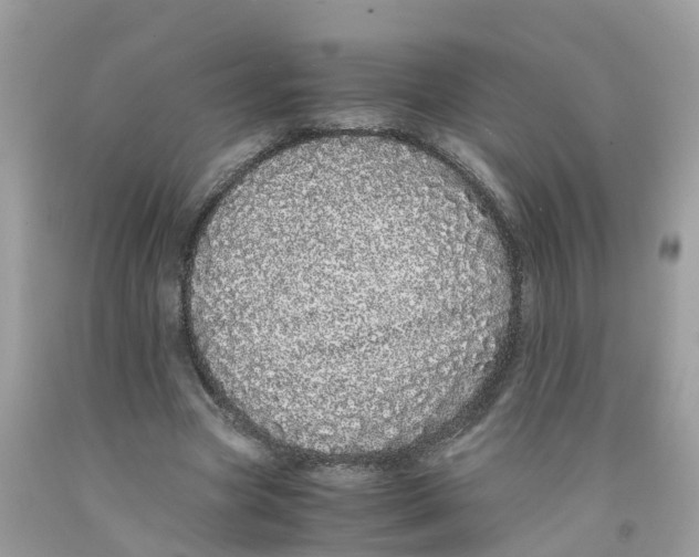 X0000091100537200709041325