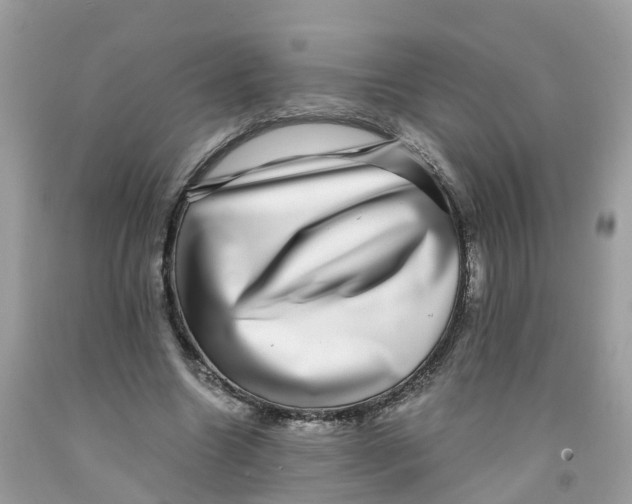 X0000091100538200709041325