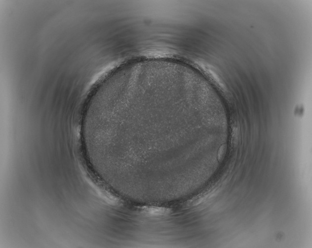 X0000091100539200709041325