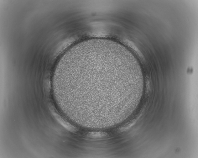 X0000091100541200709041325