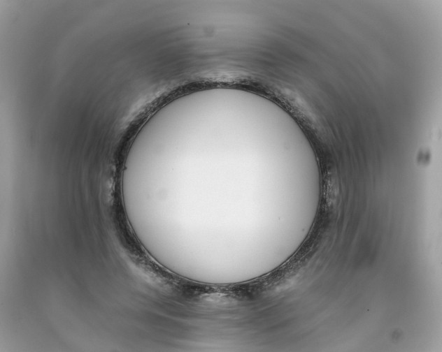 X0000091100544200709041325