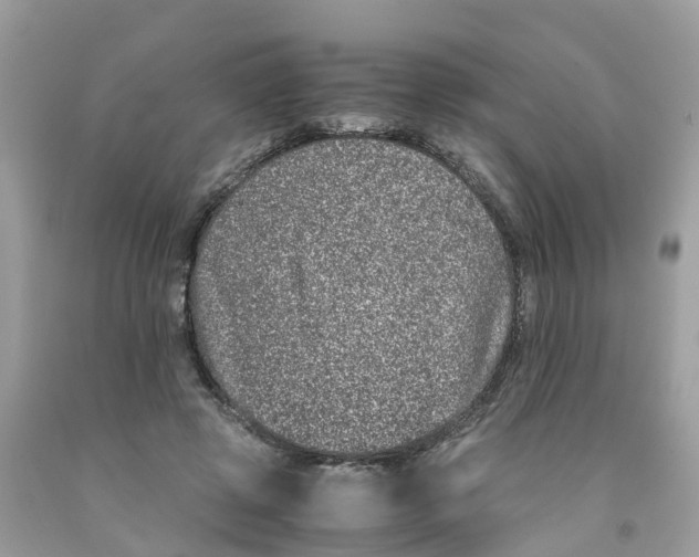 X0000091100545200709041325