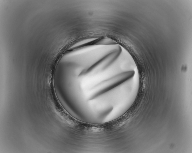 X0000091100546200709041325