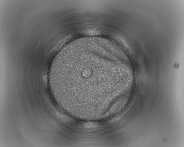 X0000091100549200709041325