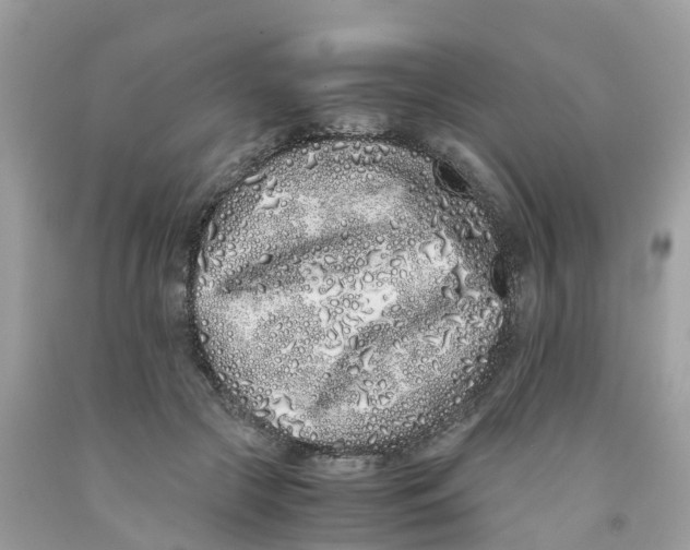 X0000091100553200709041325